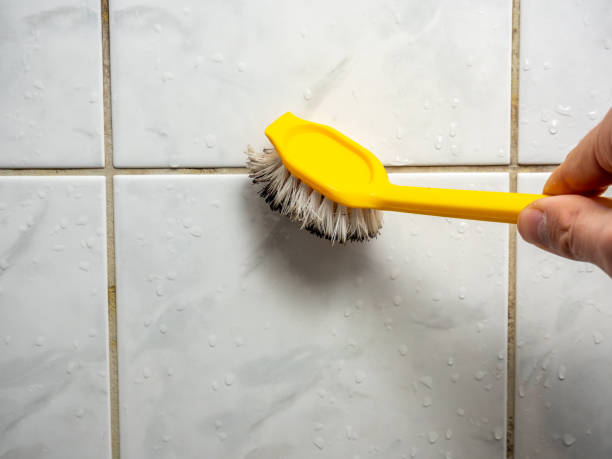 Best Mold Removal Company Near Me  in University Park, MD